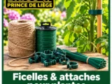 Ficelles & attaches pour plantes