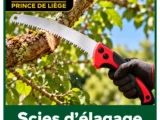 Scies d’élagage