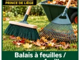 Balais à feuilles / ramasse-feuilles